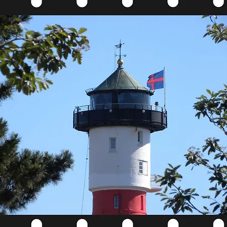 Austernfischer Wangerooge